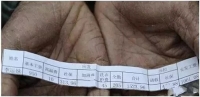 图5A